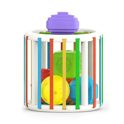 Baby Blocks Shape Sorter Toy